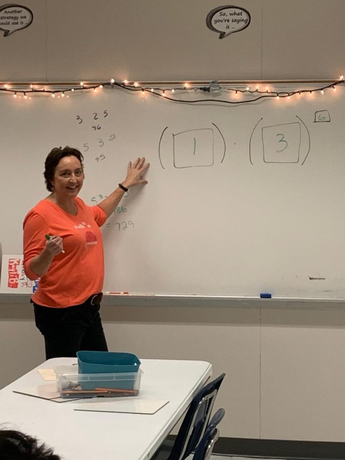 Teacher Ms. Limer Loves Math -- and Animals