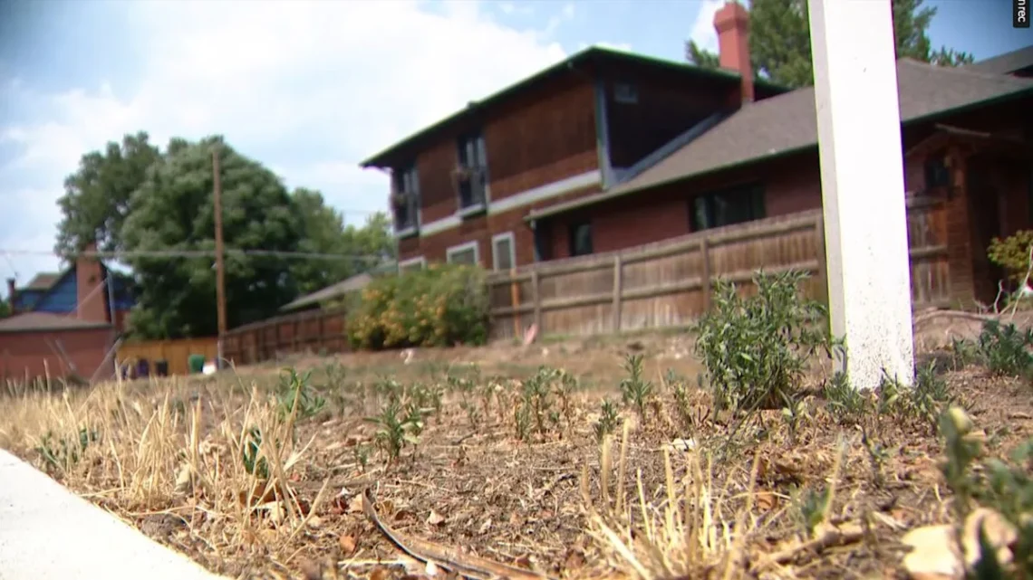 Sprinklers watering a lawn during dry weather in Denver