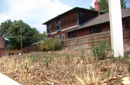 Sprinklers watering a lawn during dry weather in Denver